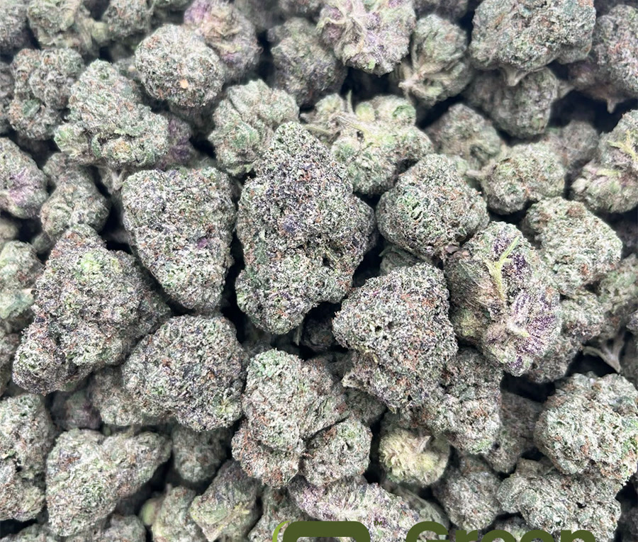 Gelato