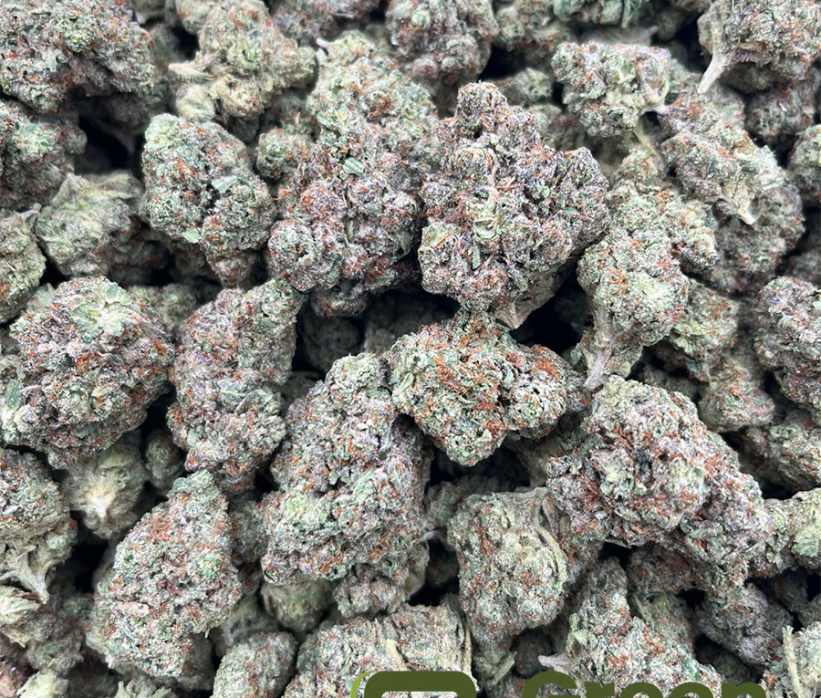 Jezzica Rabbit x Pinyata